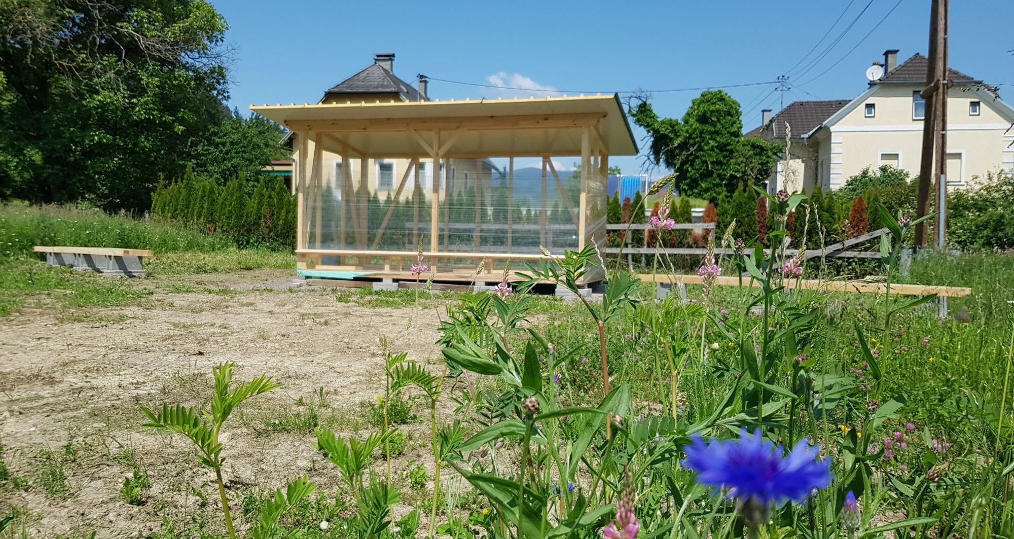 Vereinsbienenstand