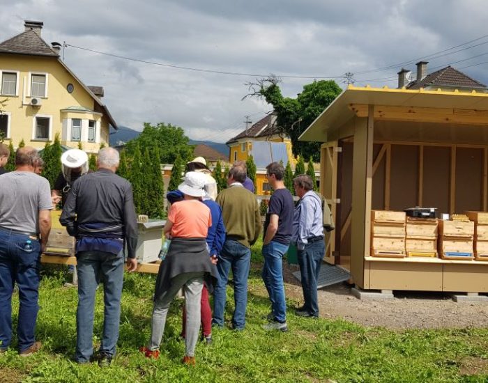 Vereinssitzung Juni 2023, Vereinsbienenstand_